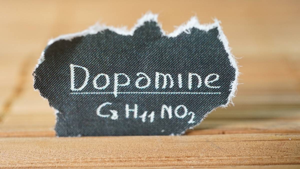cách tăng Hormone Dopamine