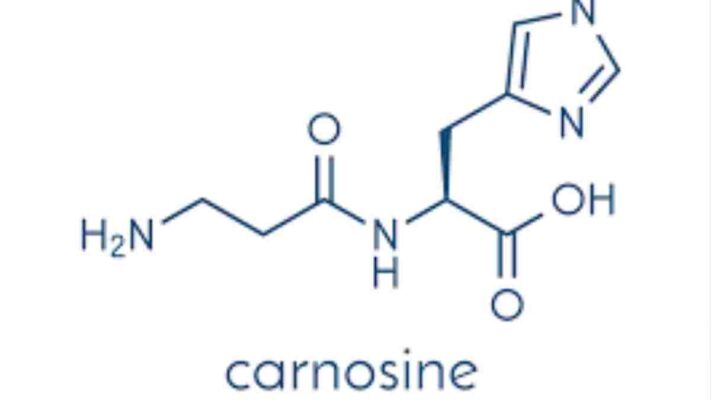 Carnosine là loại protein gì