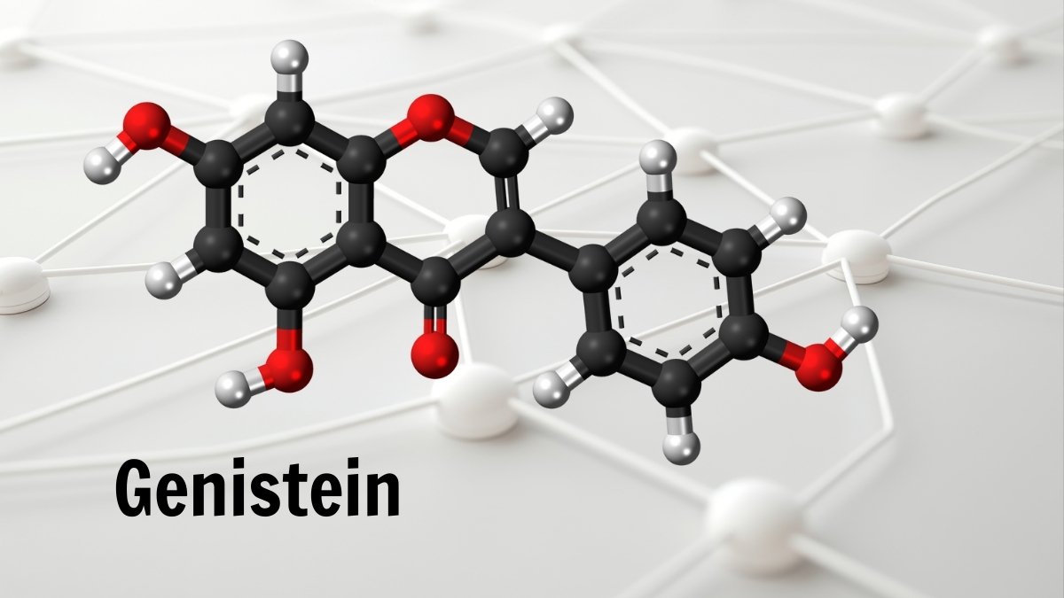 Hoạt chất Genistein là gì? Công dụng thật sự cho sức khỏe