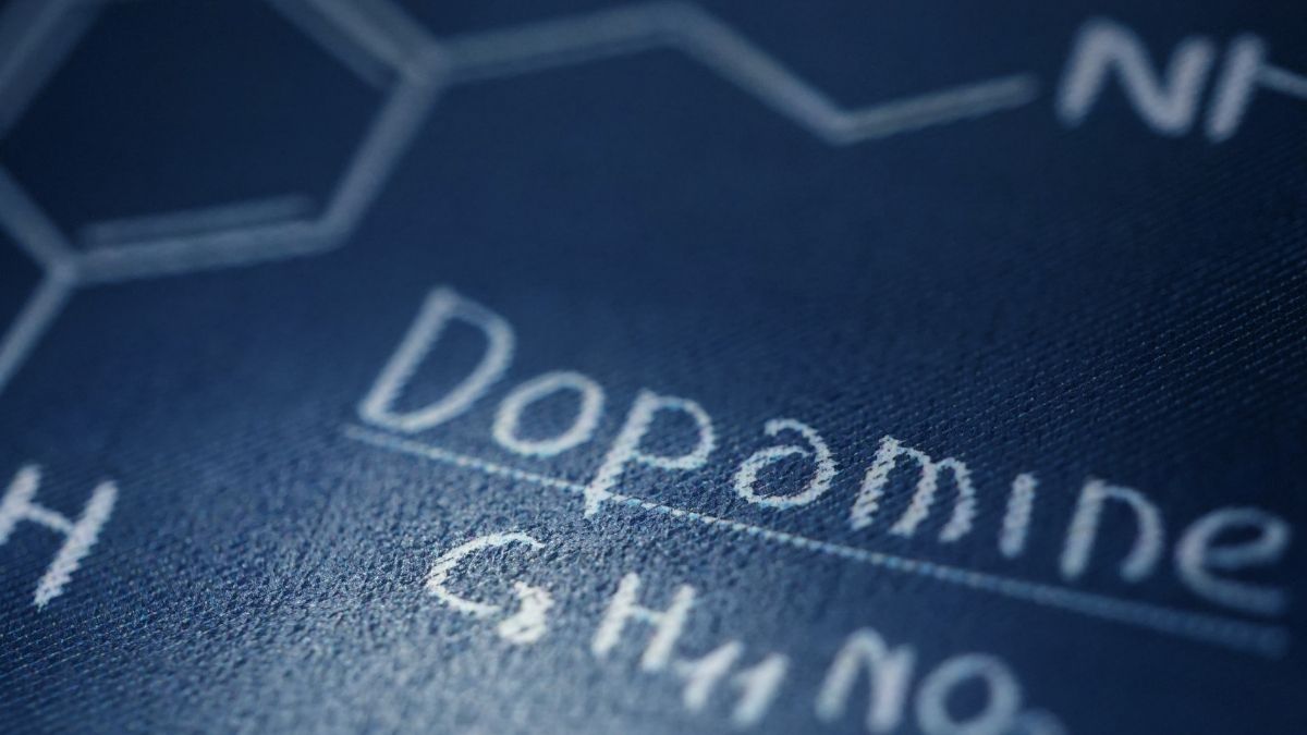 Hormone dopamine có tác dụng gì