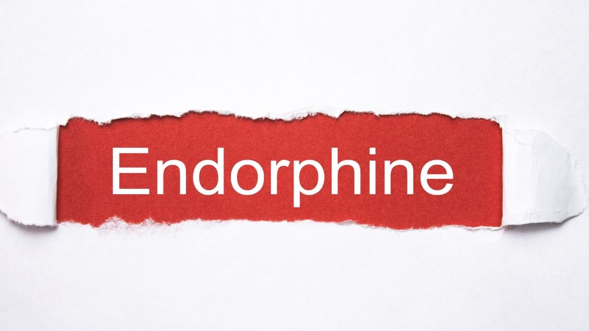 Hormone Endorphins là gì