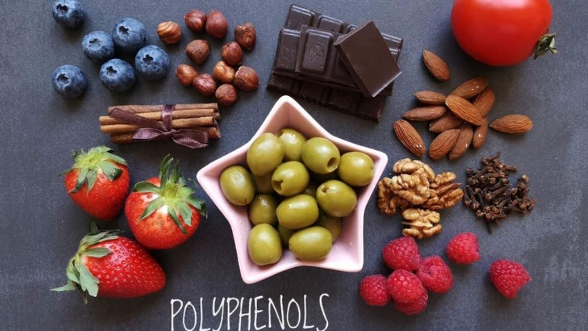 Polyphenol là gì