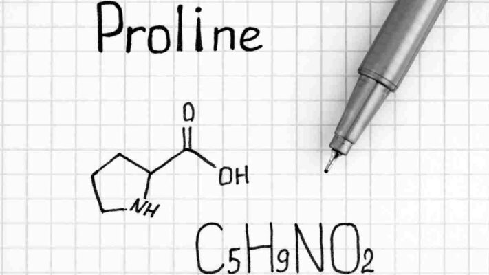 Proline là gì