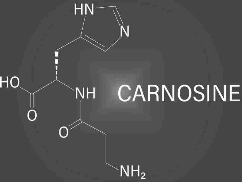 Tìm hiểu Carnosine là loại protein gì, ta biết đây không phải là một protein mà là một dipeptide
