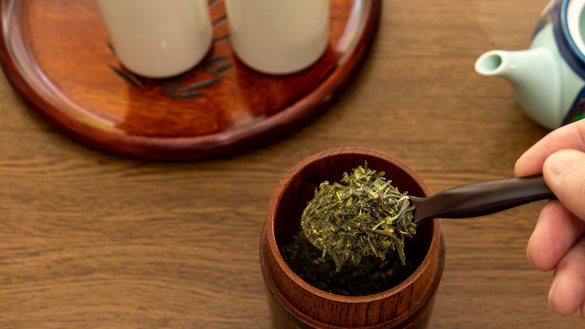 Cách nấu lá trà xanh tươi đúng cách & tác dụng bất ngờ khi uống