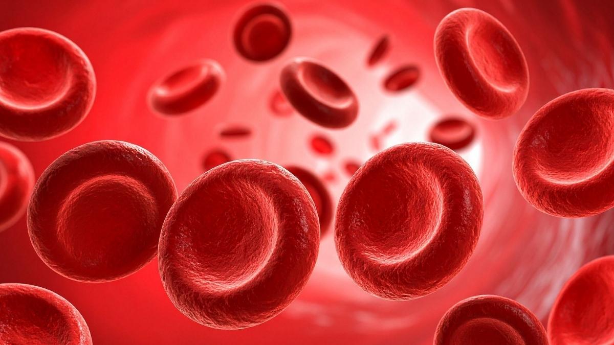 Mỡ máu tăng cao do đâu? Nguyên nhân & Giải pháp bất ngờ!