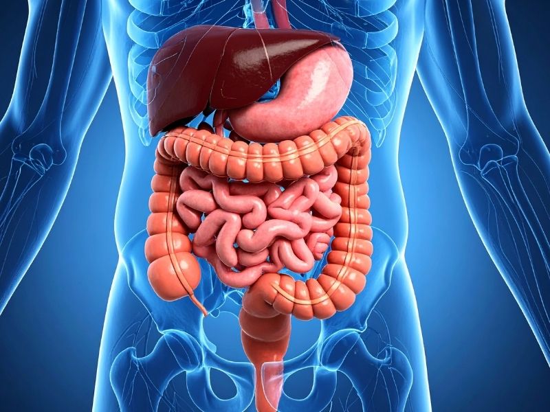Tìm hiểu gan nhiễm mỡ độ 2 có chữa khỏi được không, ta biết nó còn phụ thuộc vào nhiều yếu tố như giai đoạn phát hiện bệnh, khả năng loại bỏ nguyên nhân nền và mức độ tuân thủ điều trị