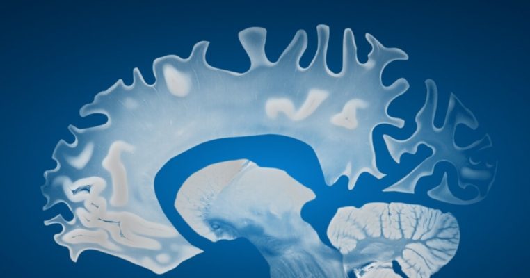 Lão hóa thần kinh diễn ra như thế nào và giải pháp NAD chống lão hoá não